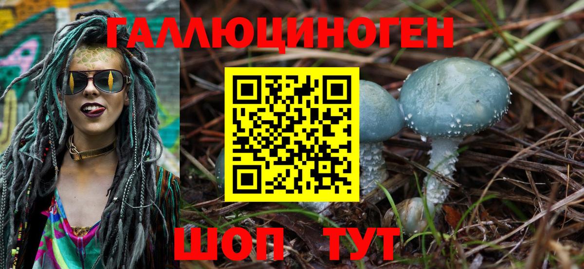 Галлюциногенные грибы Magic Shrooms  продажа наркотиков  Гудермес  Вход с VPN 