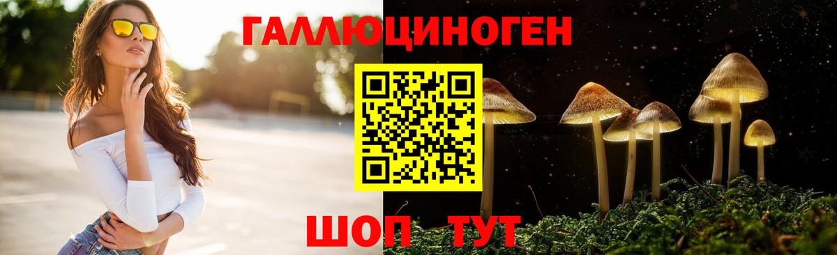 Галлюциногенные грибы ЛСД Гудермес